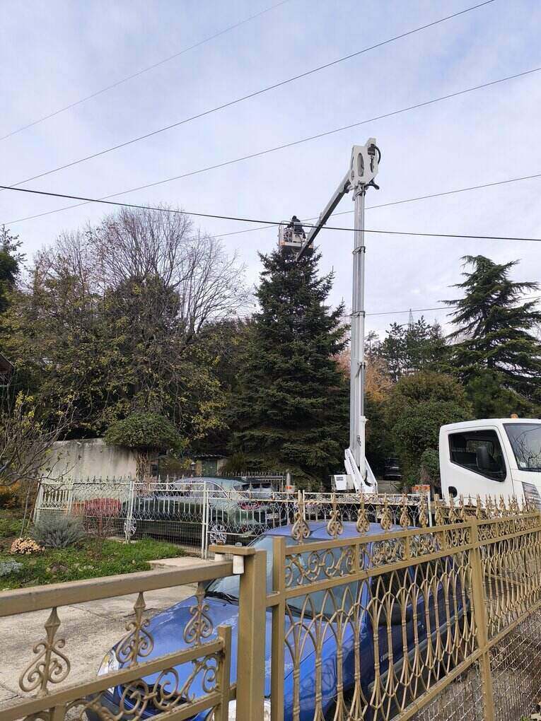 Seča grana na drvetu iz kamiona sa korpom